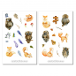 Preview: Foxes and Owls Sticker Set