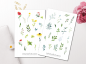 Preview: Natur Garten Sticker Set