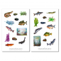 Preview: Fische Sticker Set