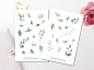 Preview: Green Leaves sticker set