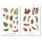 Preview: Autumn Leaves Sticker Set