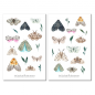 Preview: Moths Sticker Set