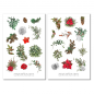 Preview: Forest Animals Winter Sticker Set