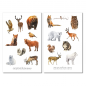 Preview: Forest Animals Winter Sticker Set