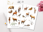 Preview: Forest Animals Winter Sticker Set