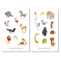 Preview: Animals Africa Sticker Set