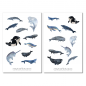 Preview: Whales Sticker Set