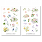 Preview: Garden Sticker Set