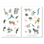 Preview: Sommer Dschungel Tiere Sticker Set