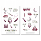 Preview: Boho Aquarell Blumen Sticker Set