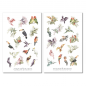 Preview: Sommer Vögel Sticker Set