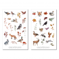 Preview: Herbst Waldtiere Sticker Set