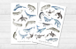 Preview: Wale Sticker Set