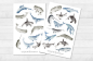 Preview: Whales Sticker Set