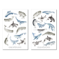 Preview: Wale Sticker Set