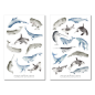 Preview: Whales Sticker Set