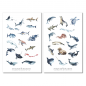 Preview: Sea Creatures Sticker Set