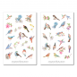 Preview: Birds Spring Sticker Set