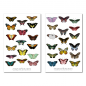 Preview: Butterflies Sticker Set