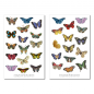 Preview: Butterflies Sticker Set