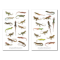 Preview: Eidechsen Sticker Set