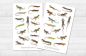 Preview: Lizards Sticker Set