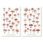 Preview: Mushrooms Sticker Set