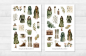 Preview: Waldgrün Sticker Set