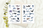 Preview: Meerestiere Sticker Set