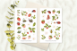 Preview: Erdbeeren Sticker Set