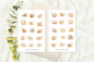 Preview: Schnecken Sticker Set