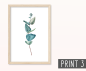 Preview: Eukalyptus Zweige Poster