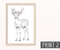 Preview: Poster Baby Waldtiere