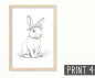 Preview: Poster Waldtiere