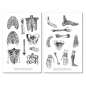 Preview: Vintage Anatomie Sticker Set