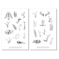 Preview: Vintage Animal Bones Sticker Set