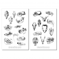 Preview: Vintage Animal Bones Sticker Set