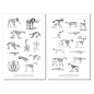 Preview: Vintage Animal Bones Sticker Set