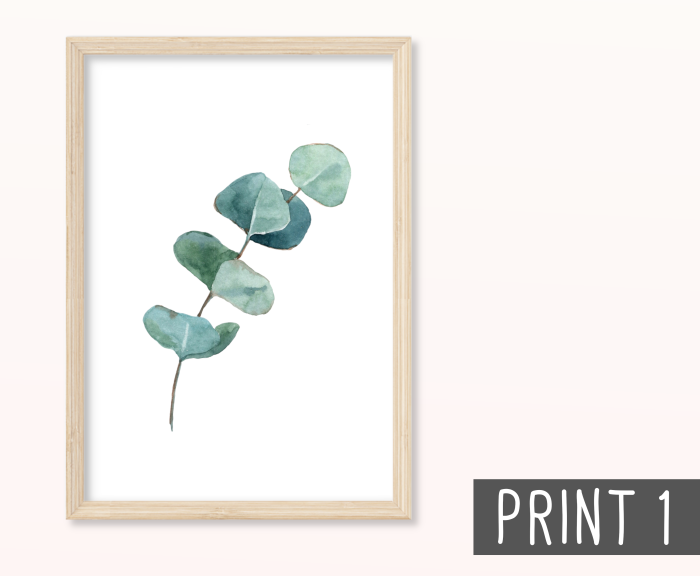 Eukalyptus Zweige Poster