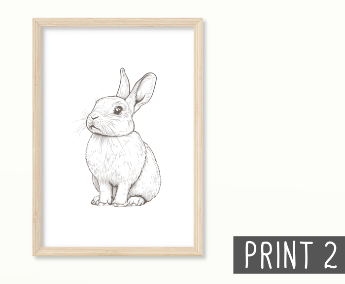 Poster Waldtiere