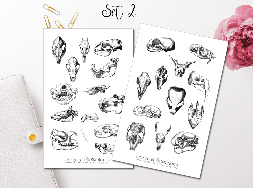 Vintage Animal Bones Sticker Set