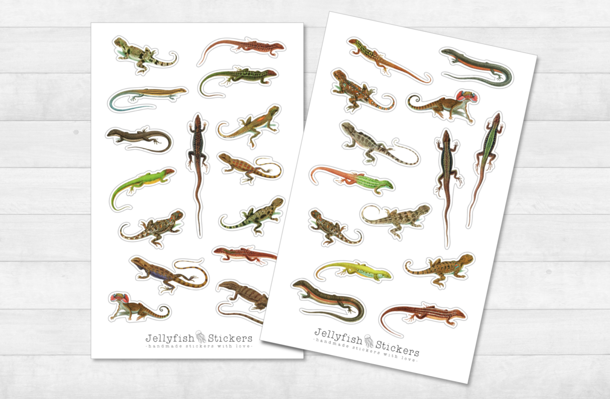 Lizards Sticker Set