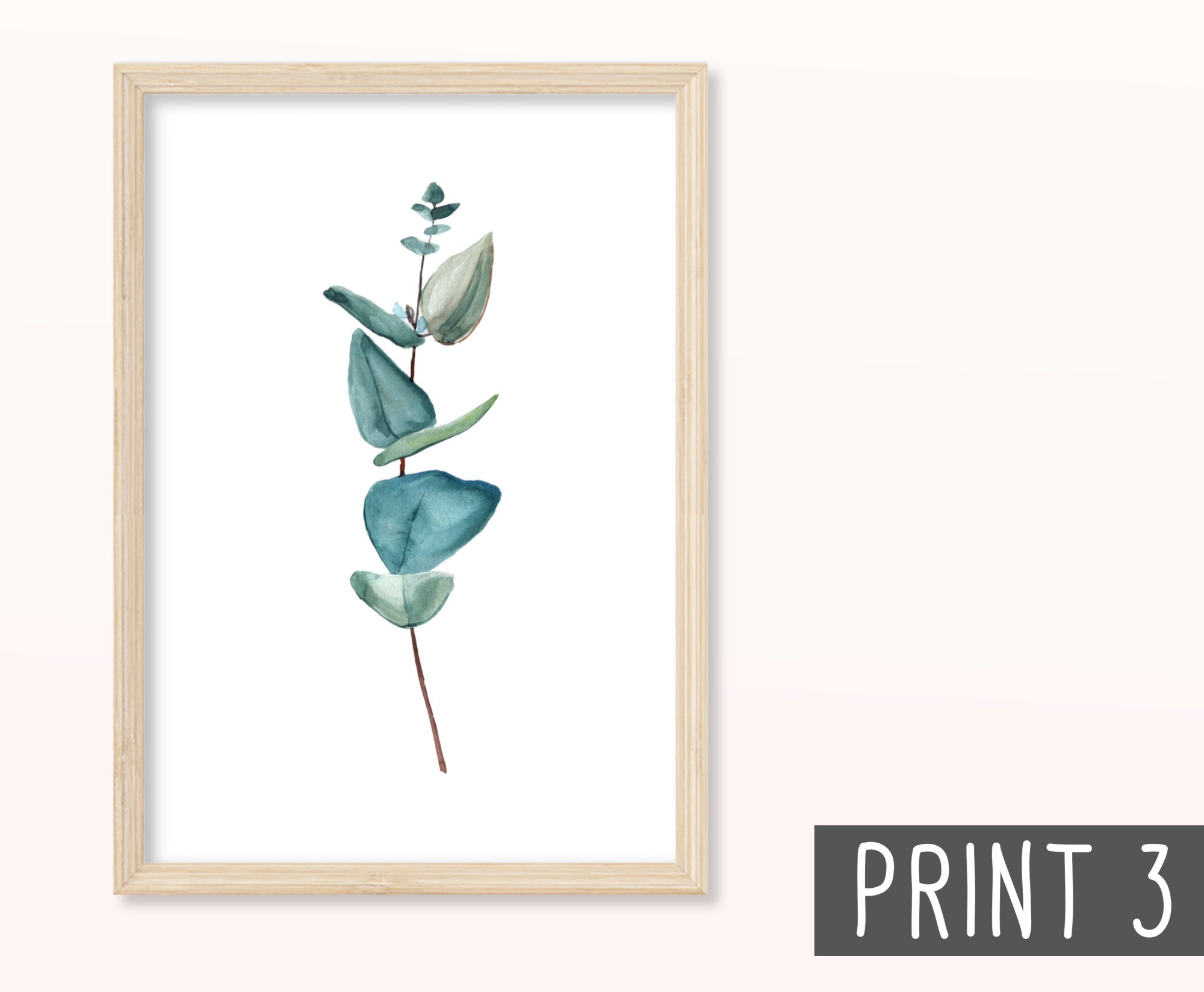 Eukalyptus Zweige Poster