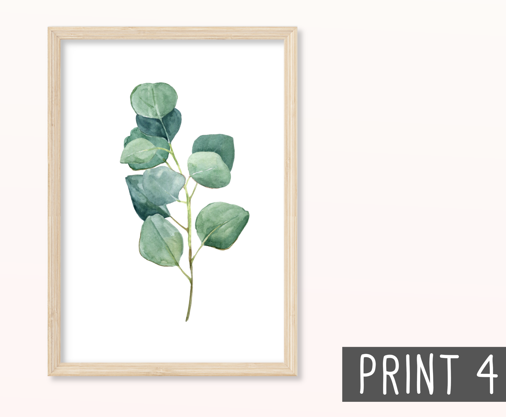 Eukalyptus Zweige Poster