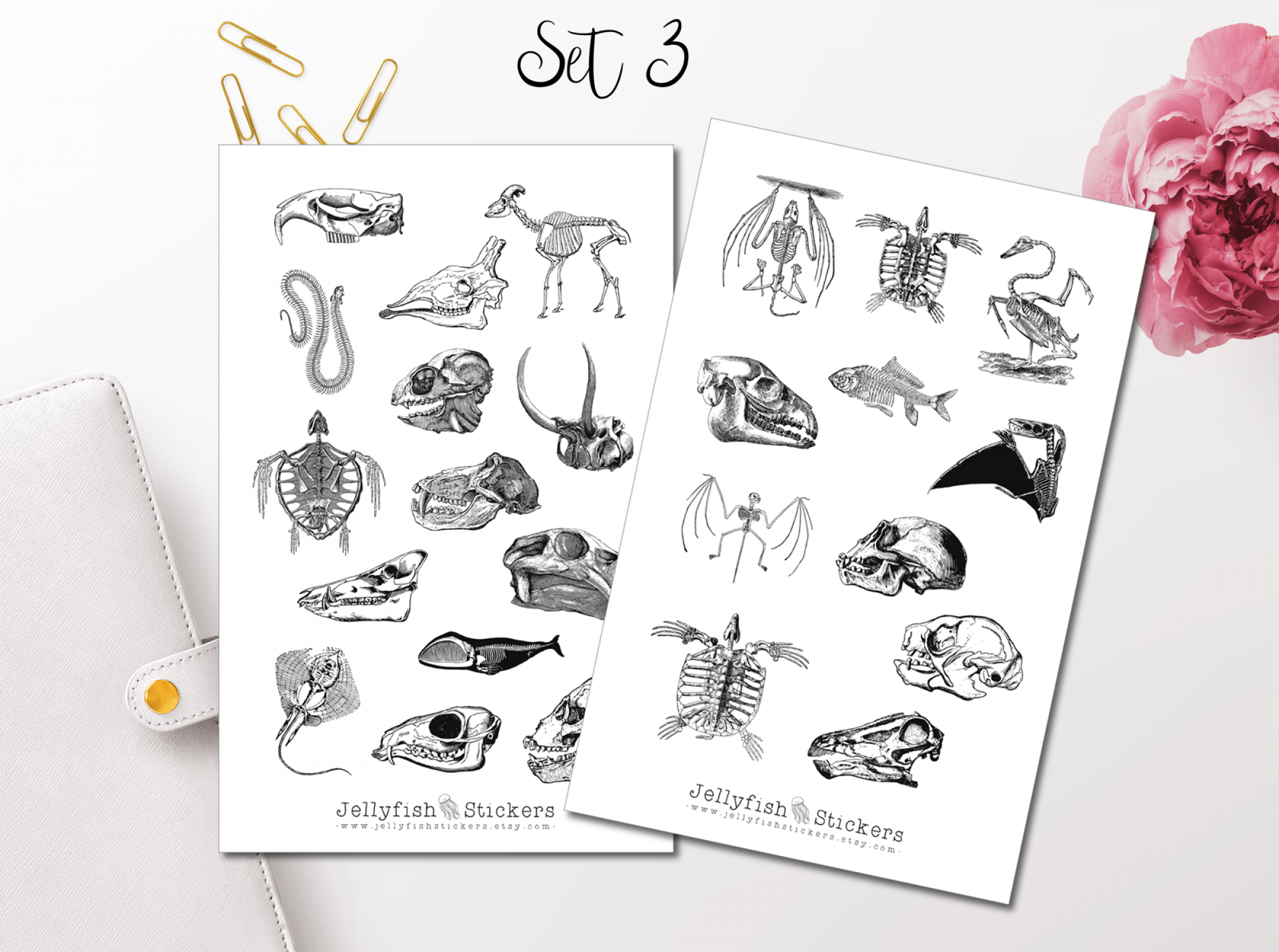 Vintage Animal Bones Sticker Set